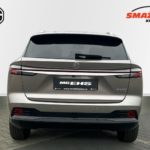 LSJW94399RG067815_05