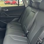 LSJW94399RG067815_09