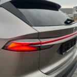 LSJW94399RG067815_20