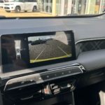 LSJWP4U91RZ290584_19