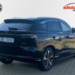 LSJW94396RG065584_04