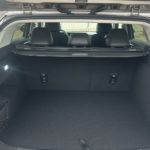 LSJW94U96SG033089_08