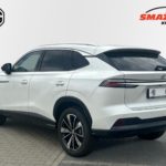 LSJW94392SG034287_03