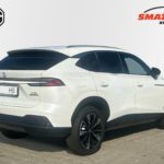 LSJW94392SG034287_04