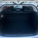 LSJW94392SG034287_08