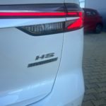 LSJW94392SG034287_22