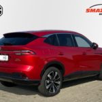 LSJW94392SG042082_04