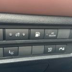 JMBM5WA91SZ003650_18