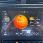 LSJW74C93NZ290016_23