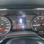 ZFACF8CS1SU379469_13