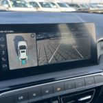 LSJWP4391RZ313590_20