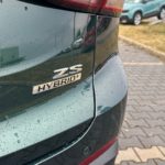 LSJWS4396SZ317932_22